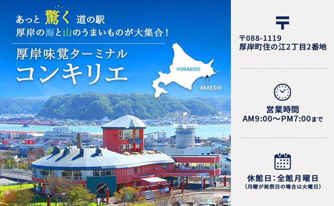 道の駅『コンキリエ』殻牡蠣食べ放題、牡蠣剥き体験セットお土産付 お食事券 チケット 体験チケット 魚介類 カキ 
