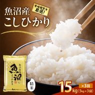 【令和8年産 先行予約】「3カ月定期便」食味鑑定士厳選！魚沼産こしひかり 15kg(5kg×3)×3回 米 コシヒカリ 定期 新潟県 十日町市
