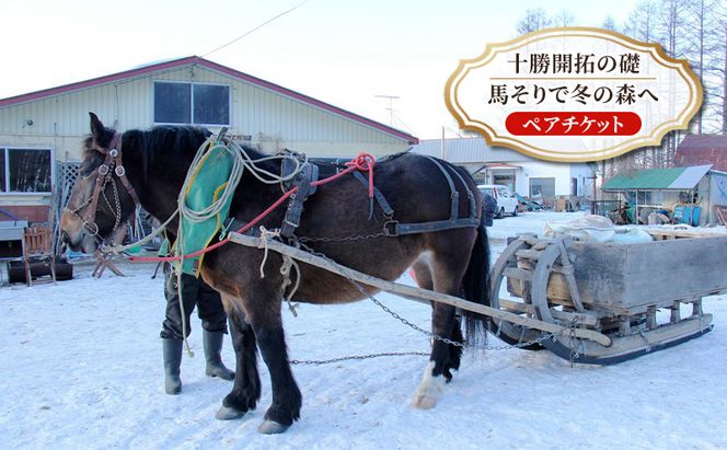【北海道 十勝 幕別町 】十勝開拓の礎 馬そりで冬の森へ［ ペア チケット ］【 牧場 見学 ツアー 体験型 旅 旅行 イベント 冬休み 自由研究 移住 自然 放牧 ガイド 北海道 十勝 幕別 】