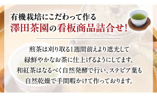 牛久市産お茶の詰め合せ 煎茶 紅茶 ほうじ茶 水出し 飲み比べ セット ステビア 和紅茶 カフェイン ラテ ハーブ 糖質オフ [AX016us]
