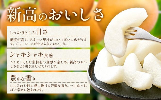 新高梨 約 1.8kg 4～7玉 約 5kg 6～16玉 約 10kg 12～32玉 日本フルーツ株式会社《9月上旬-10月上旬頃出荷》熊本県 荒尾市 新高梨 梨 果物 フルーツ スイーツ デザート ギフト ご贈答---sn_nfntn_ad9_r8_10500_1800g---