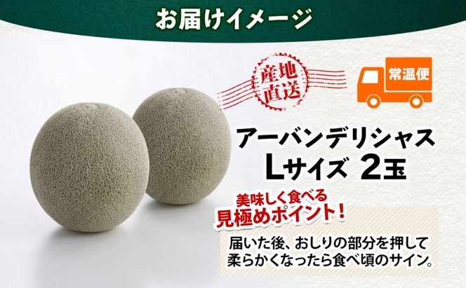 青森県産 つがりあんメロン 「アーバンデリシャス」 Lサイズ 2玉 甘い 濃厚 ハウス栽培 弘果弘前中央青果 産地直送 メロン フルーツ 果物 ギフト 贈答 青森県 鶴田町
