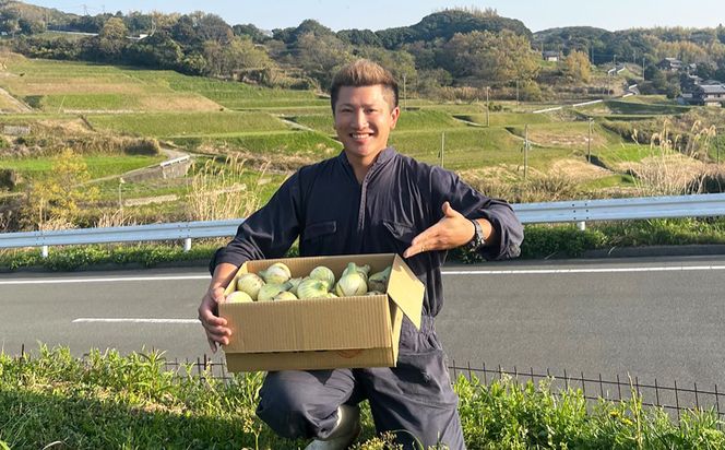 淡路島産 新玉ねぎ 10kg【栽培期間中、無農薬栽培】【訳あり】サイズ混合SS～2L