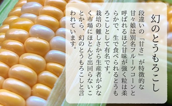 【先行予約】リピーター続出！とうもろこし【甘々娘】