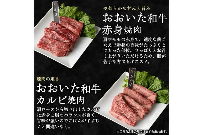 ＜訳あり＞厳選焼肉お試しセット (合計410g・5種) おおいた和牛 アイオワプレミアム 牛タン 米の恵み 豚バラ 焼肉 牛肉 肉 豚肉 赤身 カルビ 希少部位 低温熟成 和牛 ブランド牛 BBQ 冷凍 大分県 佐伯市【DH263】【(株)ネクサ】