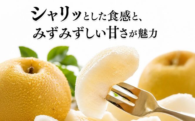 先行予約 旬の梨 梨 約2kg 約4kg 株式会社エフビーネット《出荷時期をお選びください》熊本県 氷川町 果物 フルーツ 熊本県産 青果物 和梨 ジューシー---hkw_efn_6_2kg---