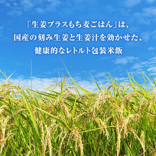 パックご飯 生姜プラス特別栽培米 もち麦ごはん 12個入り 12ヶ月定期便 静岡県 袋井市【離島配送不可】