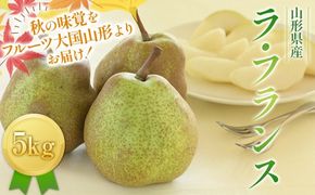 FYN6-428 ≪2026年先行予約≫山形県産 西洋梨 ラ・フランス 5kg (13～18玉) 2026年11月中旬から順次発送 洋梨 洋なし ラフランス 秋果実 果物 くだもの フルーツ ギフト 産地直送 山形県 西川町 月山