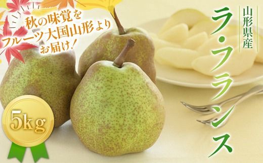 FYN6-428 ≪2026年先行予約≫山形県産 西洋梨 ラ・フランス 5kg (13～18玉) 2026年11月中旬から順次発送 洋梨 洋なし ラフランス 秋果実 果物 くだもの フルーツ ギフト 産地直送 山形県 西川町 月山