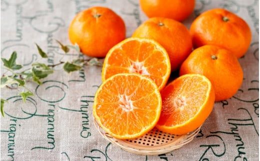 【S~2Lサイズおまかせ】秀品 季節のみかん(極早生・早生・中生・晩稲) 10kg 【2025年10月中旬～2026年2月下旬までに順次発送】＜味好農園＞/みかん 蜜柑 柑橘 フルーツ 果物 極早生 