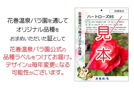 花巻温泉バラ園 オリジナル品種「ミラクルローズ90」　新苗　<2026年6月より随時発送> 【1999】