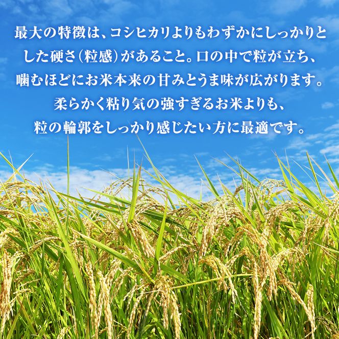 令和7年度産 ほしじるし 5kg 玄米 6ヶ月定期便 米 静岡県 袋井市【離島配送不可】