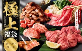 mrz0338 極上福袋 ゴールドコース 5種 1.8kg以上【牛肉 ステーキ 牛タン 焼肉 しゃぶしゃぶ すき焼き 氷温熟成×極味付け】