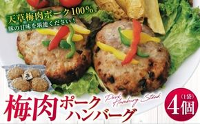 梅肉ポークハンバーグ 4個 ハンバーグ 豚 豚肉 惣菜 おかず 冷凍 梅肉ポーク レンジ 国産 九州産 熊本県 上天草市