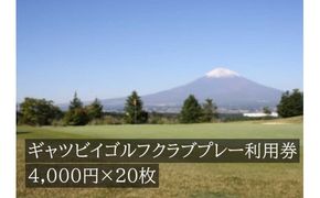 Y1ギャツビイゴルフクラブプレー割引券　20枚 【小山町内 ゴルフ場 共通利用券】