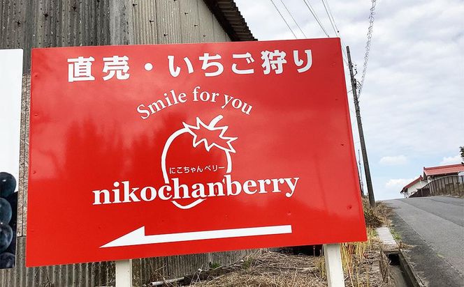 先行予約・数量限定！ 採れたて完熟いちご【かおり野・よつぼし・ベリーポップすず・恋みのり】 9粒～20粒×2箱 232238_CK01-PR