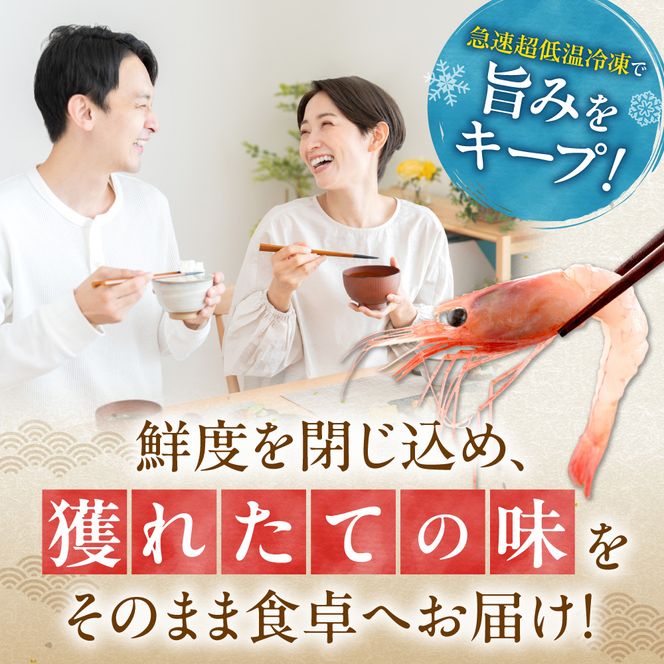 獲れたての味！北海道余市産 甘エビ 900g 300g×3パック 地元漁港直送 急速超低温冷凍 生食可 刺身用 ボイル 天ぷら フライ 国産 海の宝石 プリプリ食感 有頭 天然 19～22尾 送料無料_Y022-0024
