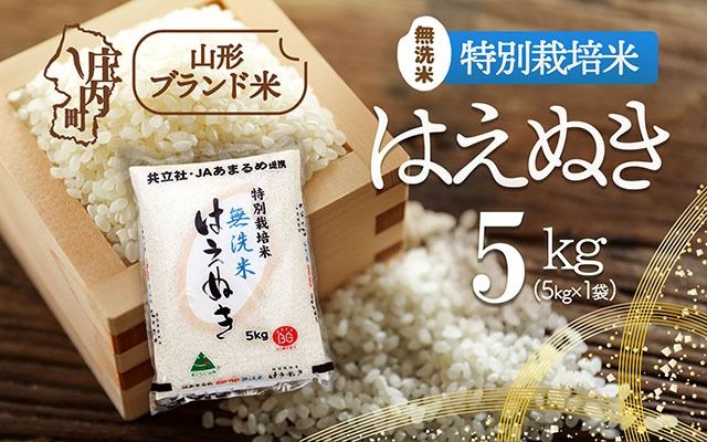 庄内町産 特別栽培米はえぬき無洗米 5kg 令和7年産 2025年産 ブランド米 コシヒカリの原点、亀の尾発祥の地 庄内