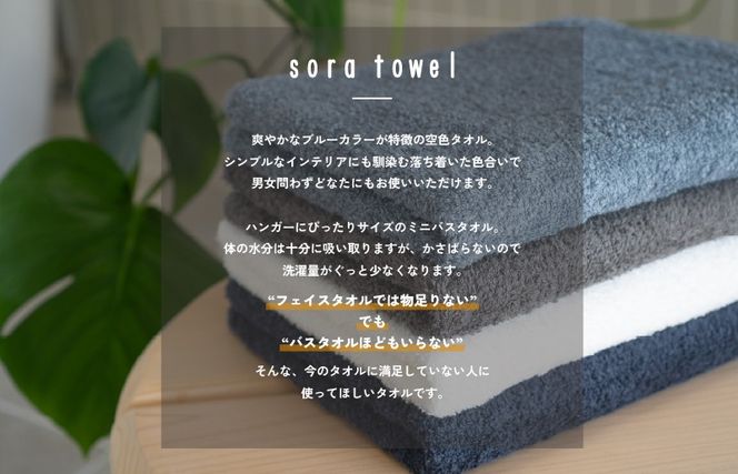 G5591 【スピード発送】soraミニバスタオル4枚セット（カラーアソート）【フェイスタオル 以上 バスタオル 未満 泉州タオル 吸水 普段使い シンプル 日用品 たおる】