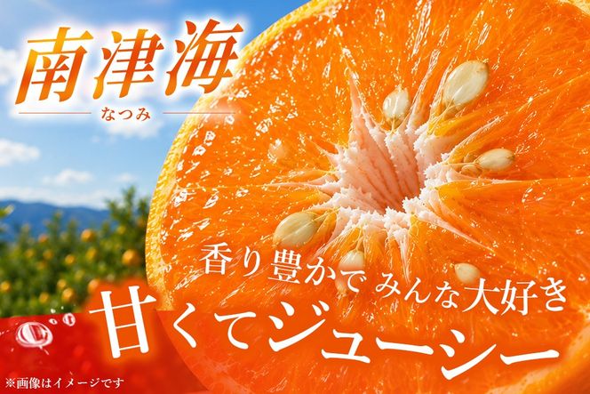 【2027年4月上旬より発送開始】南津海(なつみ)みかん 2.5kg【みかん 柑橘 オレンジ ポンカン フルーツ デザート 果汁】(H116155)