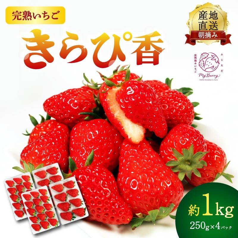 [先行予約 : 2026年3月〜2026年5月発送予定 ] いちご きらぴ香 約1kg 約250g×4パック 朝どれ 完熟 苺 産地 直送 フレッシュ イチゴ 贈答 フルーツ 果物 国産 静岡県 藤枝市 ふるさと人気