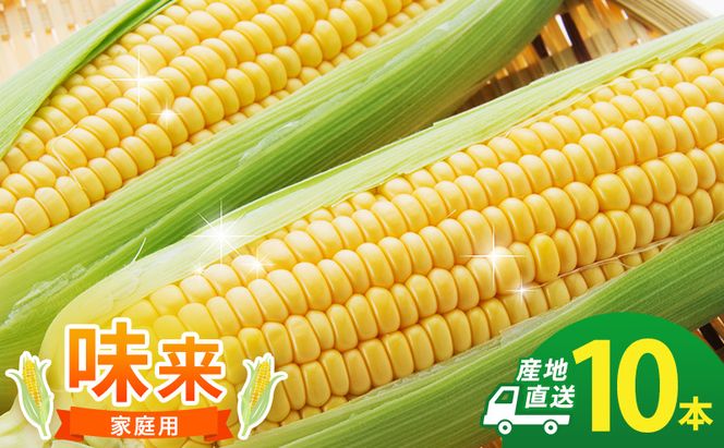 とうもろこし 味来 家庭用 10本 訳アリ トウモロコシ 宮城県産 甘い 夏 朝採れ 訳あり 産地直送 宮城県 大河原町