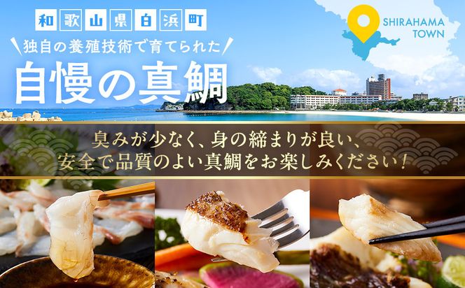 活〆 真鯛 薄造り 刺身 100g × 4パック 304018_C012