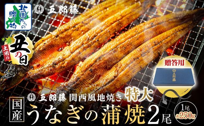 015B385-1d 【7/26土用の丑の日】五郎藤 関西風地焼き 国産有頭旨鰻 250g×2尾 計約500g 【贈答用 特大 うなぎ ウナギ 蒲焼き 炭火】