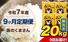【9ヶ月定期便】令和7年産 森のくまさん 無洗米 20kg 5kg×4袋 計9回お届け 《お申込み翌月から出荷》 お米 こめ 熊本県産 ご飯 備蓄---mk7tei_436500_20kg_mo9_ng_m---