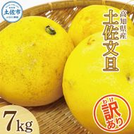 【訳あり】土佐文旦（ぶんたん）家庭用（M～５Ｌ混合）約７ｋｇ【株式会社とさもん（土佐市）厳選】 文旦 7キロ 約10～22玉 