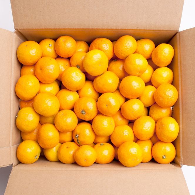 家庭用 小玉な有田みかん2.5kg+250g（傷み補償分）【わけあり・訳あり】【光センサー選果】