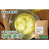 a793 国産！わくわく園有機桑茶・計120包(2g×60包・2袋)【わくわく園】桑の葉 有機 桑茶 桑 桑の葉茶 お茶 ティーバッグ ティーパック ノンカフェイン くわ 茶 九州産