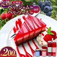 ジャム ベリー 信州産 完熟 ベリージャム 200g2種と ベリーソース 200g2種セット | フルーツ ジャム ソース ラズベリー ブルーベリー 完熟 つみたて 加工品 長野県 伊那市 【015-68】