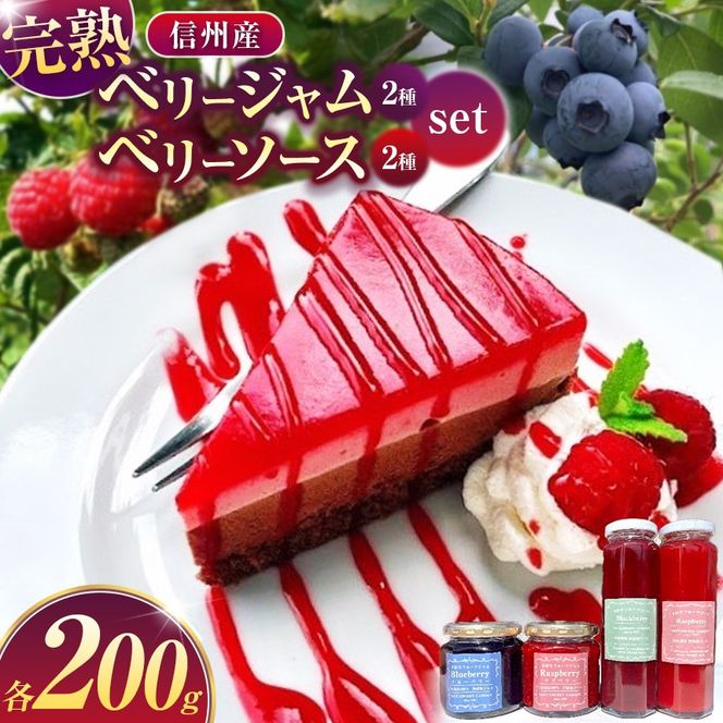 ジャム ベリー 信州産 完熟 ベリージャム 200g2種と ベリーソース 200g2種セット | フルーツ ジャム ソース ラズベリー ブルーベリー 完熟 つみたて 加工品 長野県 伊那市 【015-68】