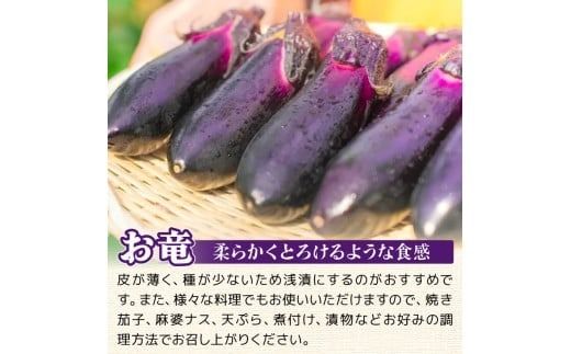 【先行受付】なす 選べる 1.5kg 3kg 5kg 3回定期便 6回定期便 約15本 ～ 50本 朝採れ 農家直送 新鮮 旬 野菜 やさい 茄子 ナス なすび 先行予約 期間限定 季節 料理 ごはん 高知県 特産品 優秀賞 天敵農法 自家製肥料 環境制御 お竜 焼きなす 揚げ浸し nasu 煮びたし カレー なす パスタ たたき こたにん農園 安芸市 高知県
