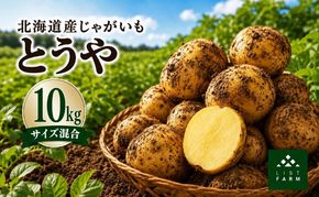 北海道 倶知安 じゃがいも とうや 10kg リストファーム サイズ 混合 馬鈴薯 芋 ポテト イモ 産地直送 野菜
