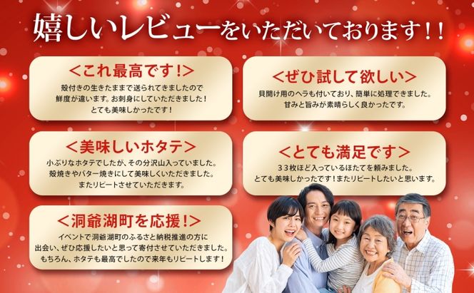 北海道産 活ほたて 2年貝 約4kg 30枚～45枚 2027年1月中旬以降水揚げ次第出荷 ほたて 帆立 ホタテ 生 貝 魚貝 魚介 海産 海鮮 貝柱 噴火湾 刺身 送料無料 北海道 洞爺湖町