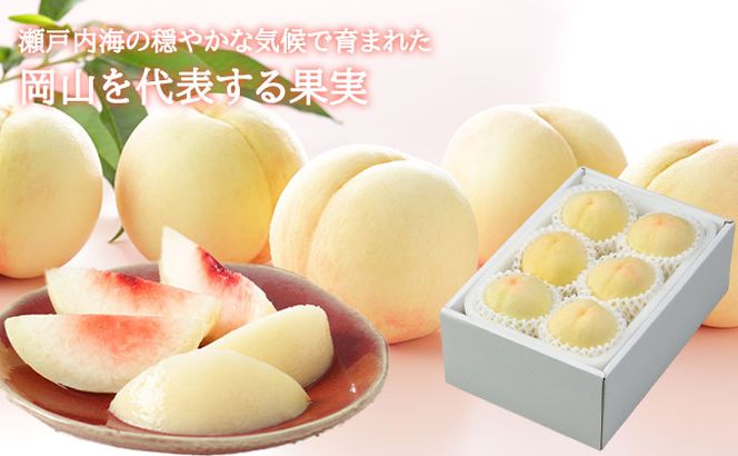桃 2026 年先行予約 岡山 白桃 エース 4～6玉 1kg 岡山県産 JAおかやまのもも モモ 岡山県産 国産 フルーツ 果物 ギフト 