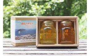季節違いの峰山ハチミツ大瓶2本セット 372013_LC001
