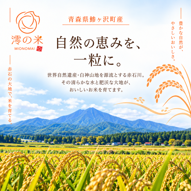 【3回定期便】米 5kg 無洗米 まっしぐら イワモトファーム 青森県産 令和8年産 3ヶ月 定期便 新米 ごはん ご飯 節水 時短 手軽 ブランド米 直送 農家直送 お取り寄せ お米 こめ コメ 白飯 国産 お弁当 冷めてもおいしい 送料無料