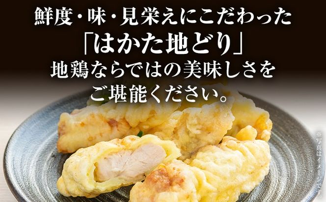 【ふるさと納税】鶏肉 はかた地どり ささみ 2kg 1kg×2パック 福岡県産 地鶏 鶏肉 冷凍 国産 ササミ 鶏ささみ とり肉 サラダチキン 蒸し鶏 筋トレ おうちごはん お取り寄せ グルメ ギフト