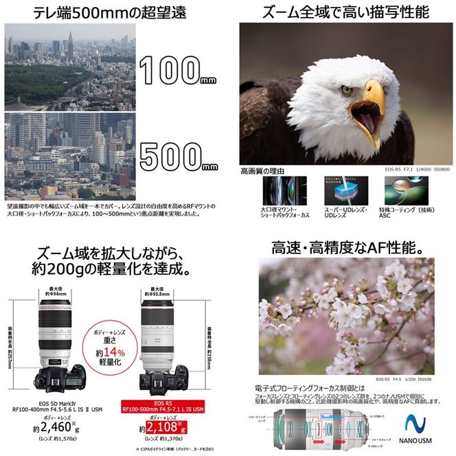 【Canon】 キヤノン 交換レンズ RF100-500mm F4.5-7.1 L IS USM カメラ レンズ_0068C