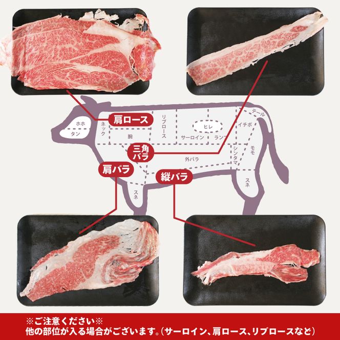 ★常陸牛A5ランク★【訳あり】常陸牛切り落とし(薄切り) 約900ｇ(約300g×3パック)｜肉 お肉 肉類 訳あり わけあり ワケアリ 常陸牛 A5 切り落とし 茨城県 行方市 人気 送料無料(DT-53)