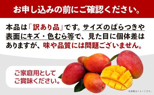 【先行受付】【2026年発送】城間マンゴー園のアップルマンゴー 訳あり 約1kg - 先行予約 沖縄県産 産地直送 南国フルーツ 旬の味覚 季節の果物 ご自宅用 訳アリ 家庭用 沖縄マンゴー 沖縄県 八重瀬町
