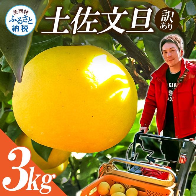 【CF-R7hbk】【先行予約】“高知県産”ワケあり土佐文旦（※シミ・キズあり）3kg・サイズおまかせ