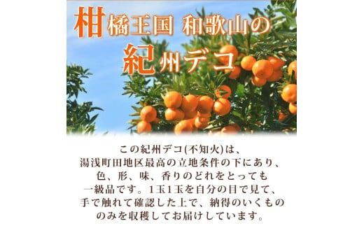 高級ブランド田村の完熟紀州デコ(不知火)　※2026年2月下旬頃〜2026年3月中旬頃に順次発送予定(お届け日指定不可) 不知火 みかん 蜜柑 デコ 和歌山 紀州 柑橘 しらぬい くだもの 果物 フルーツ 【uot731】