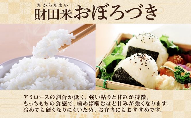 財田米 おぼろづき 5kg R7年産 北海道産 白米 精米 お米 コメ こめ ライス おにぎり ご飯 国産 炊き立て 自炊 人気 お取り寄せ 産地直送 常温 送料無料 北海道 洞爺湖町