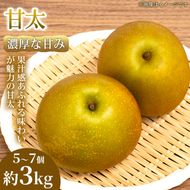 【濃厚な甘み】やわらか果肉の甘太 5～7個(約3kg) 1箱 甘太 梨 フルーツ 甘い 濃厚 農家直送 ギフト 贈答用 家庭用 お取り寄せ 熊本県
