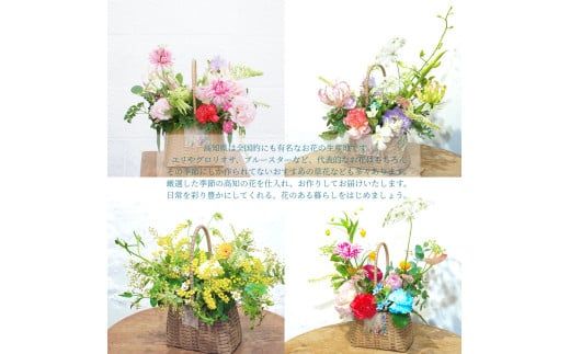 【CF-R7hbk】《6ヵ月定期便》季節の生花バスケットフラワーM バスケット 紙バンドバスケット フラワーバスケット 季節 手作り ハンドメイド ブルースター トルコギキョウ お取り寄せ 生花 プレゼント 贈り物

