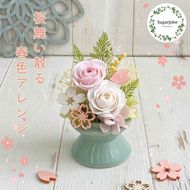 プリザーブドフラワー　舞桜（まお）　春日部市　シュガーパイン(AJ248)